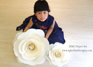 MẪU HOA GIẤY CÁCH ĐIỆU