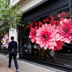 Trang trí Tết Window Display - Thược dược