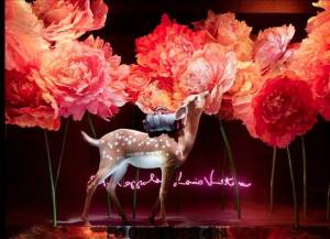 Trang trí Tết Window Display - Mẫu đơn