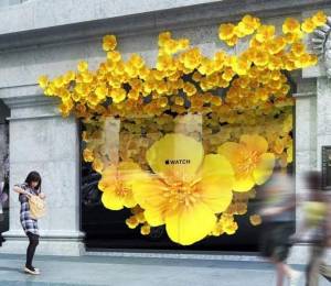 Trang trí tết Window Display-Hoa mai