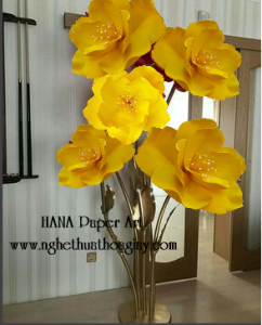 Cụm 5 cây mai mút trang trí xuân