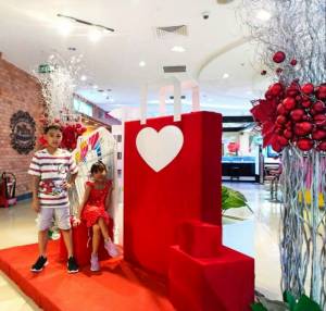 Trang tri Noel -VIP 2