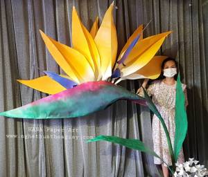 NHÀNH THIÊN ĐIỂU- PHIM TRƯỜNG SÀI GÒN